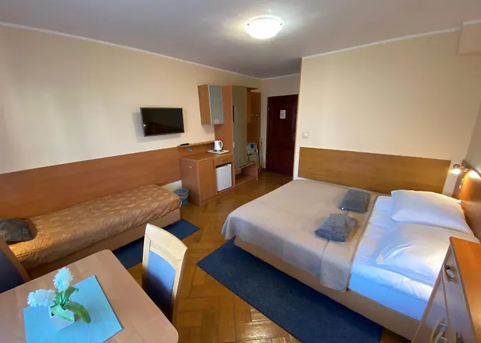 Larus * Władysławowo