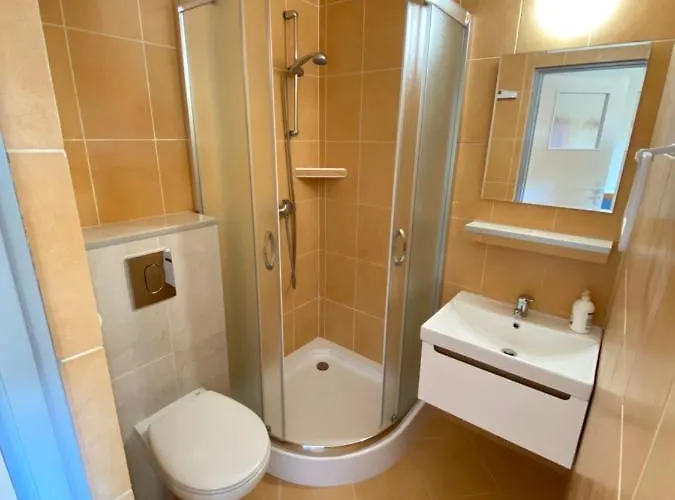 Larus Władysławowo